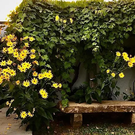 Casa As Sete * Angra do Heroísmo