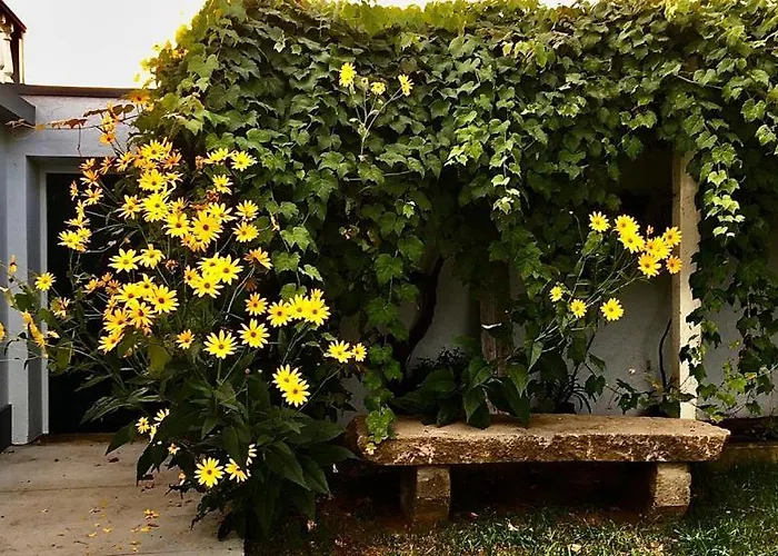 Casa As Sete * Angra do Heroísmo