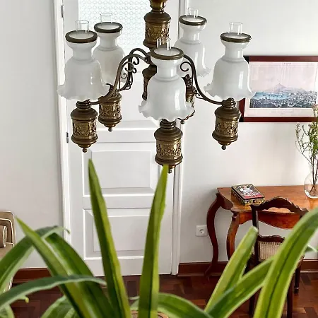 Tatil Evi Casa As Sete